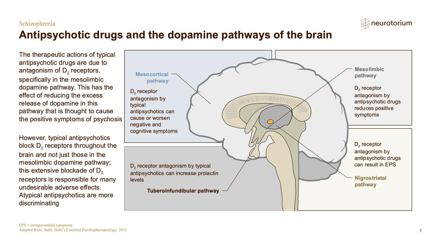 Schizophrenia – Neurobiology and Aetiology – slide 31